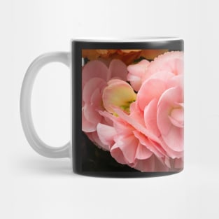 Soft pink begonia flowers. Mug